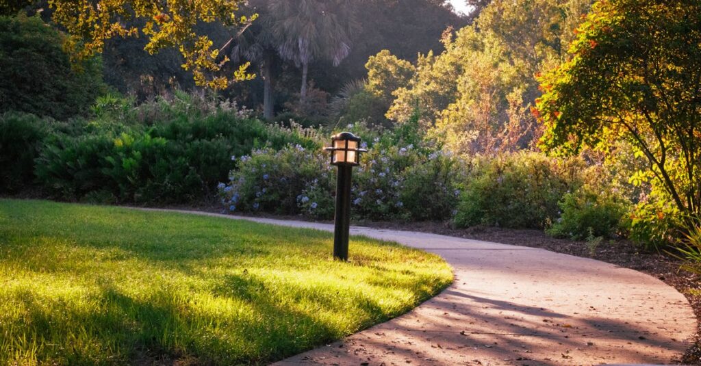 やわらかい光の中をゆるやかに続く道。まっすぐではなく波を持ちながら進む心の回復を表す風景。