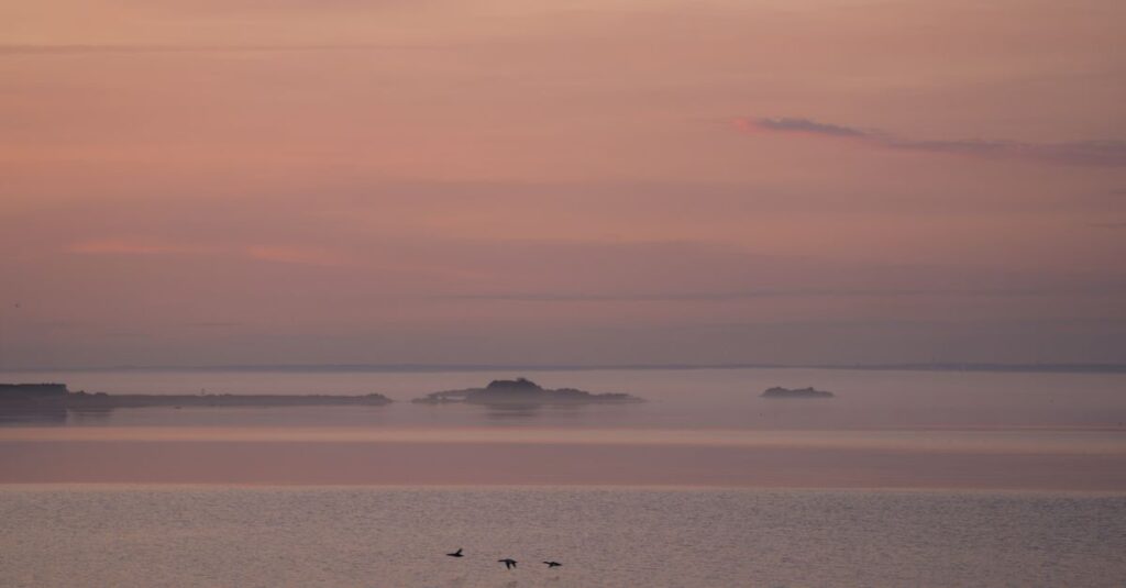 soft morning light gentle step forward quiet courage small change peaceful calm