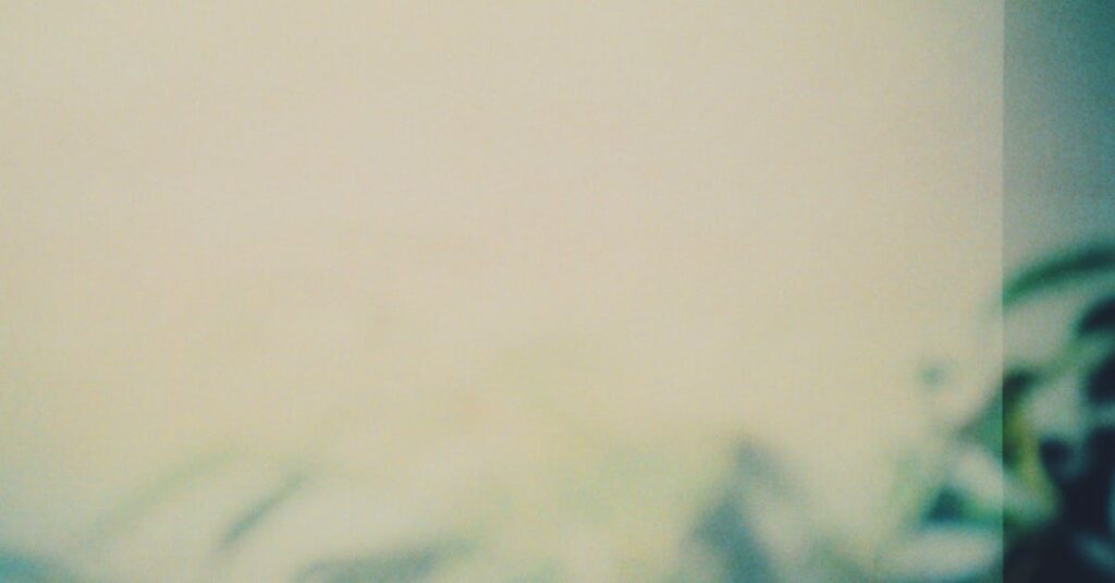 やわらかな光が静かに広がる穏やかな空間。強く押さないからこそ届く、静かなやさしさを象徴する風景。