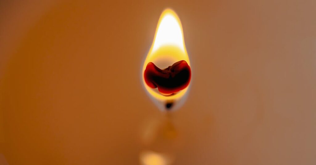 その場に静かに立ち続けるイメージ。比べても自分を見失わずにいる安心感と静かな強さを表す風景。