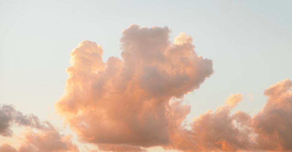 やわらかな朝の光の中でただ空を眺める時間。何もしない、ただ感じることの大切さを象徴する風景。