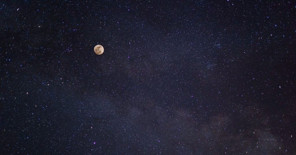 やわらかな月と星が輝く静かな夜空。薬屋のひとりごとの世界観と星読みをつなぐ風景。