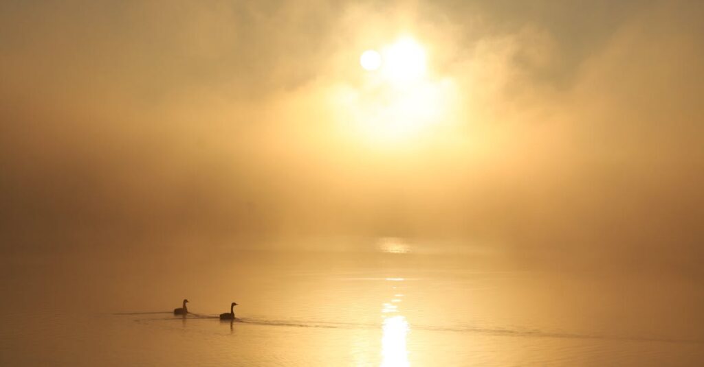 soft morning light gentle step forward quiet courage small change peaceful calm