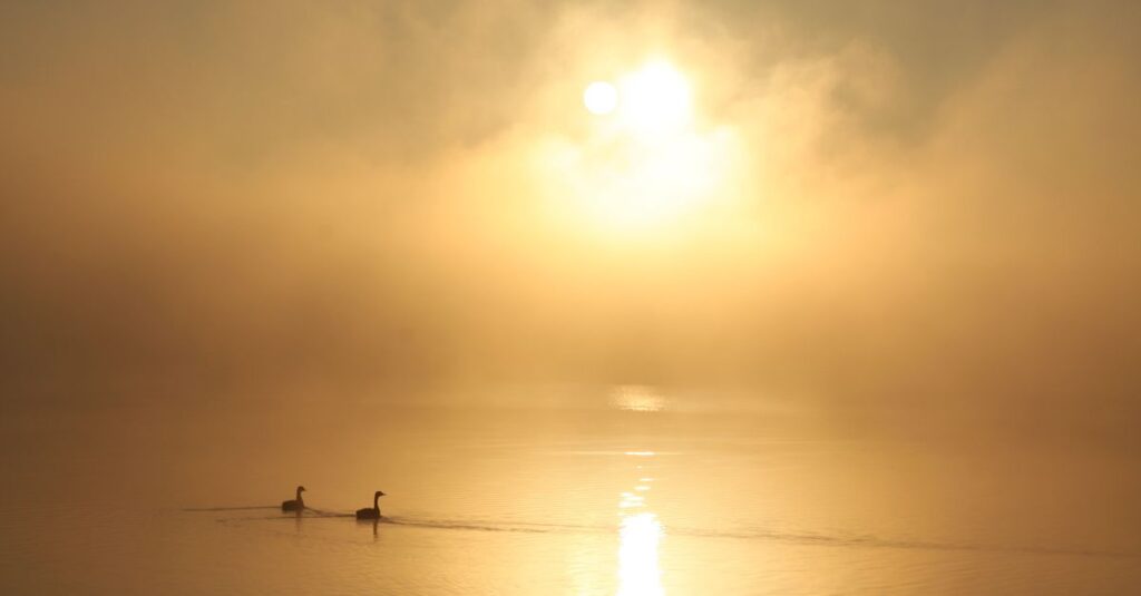 soft morning light quiet clarity emerging gentle fog lifting calm peaceful atmosphere