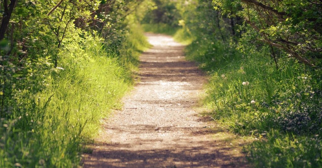 soft light path direction gentle hope quiet realization calm