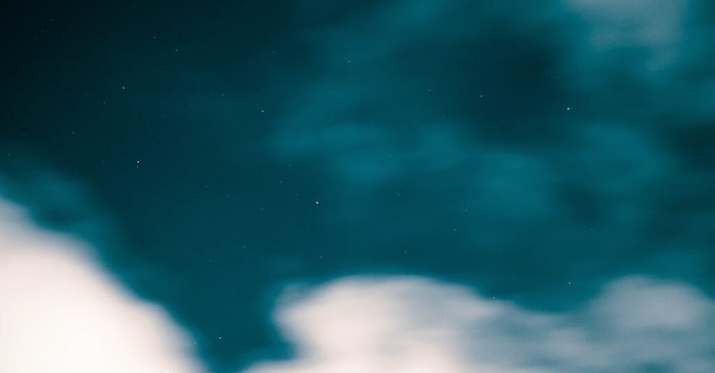 やわらかな星の光の中に静かに問いを投げる夜。返ってくる言葉とともに心が整っていく余白を象徴する風景。