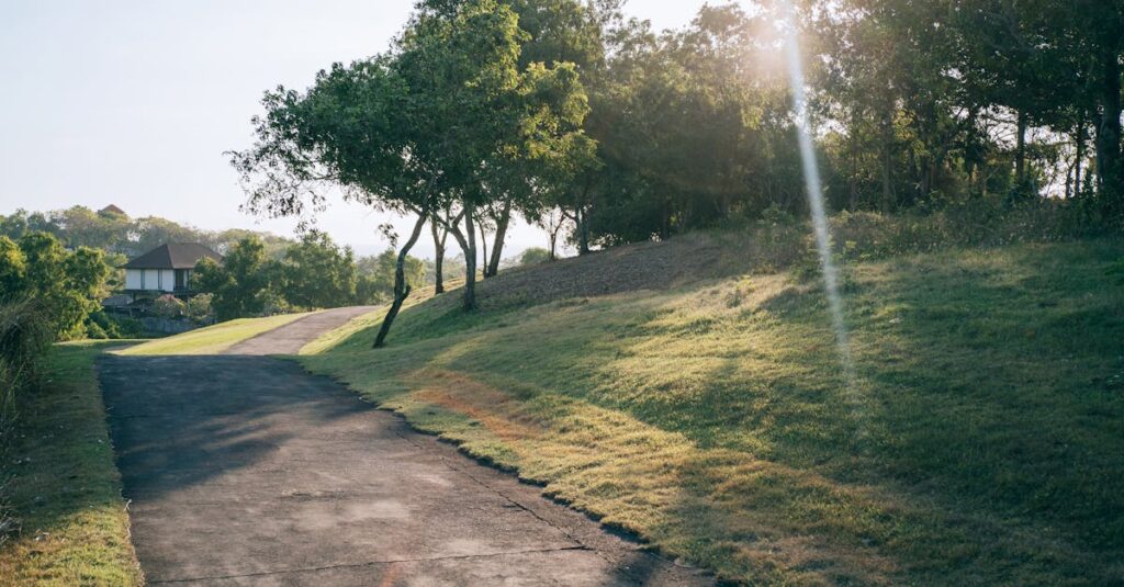やわらかな光の中で静かに続く帰り道。自分の内側へ戻れる安心があることで、人との距離がやわらかくなる感覚を象徴する風景。