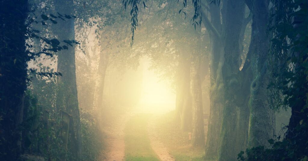 soft light open path quiet wonder gentle acceptance question living calm atmosphere