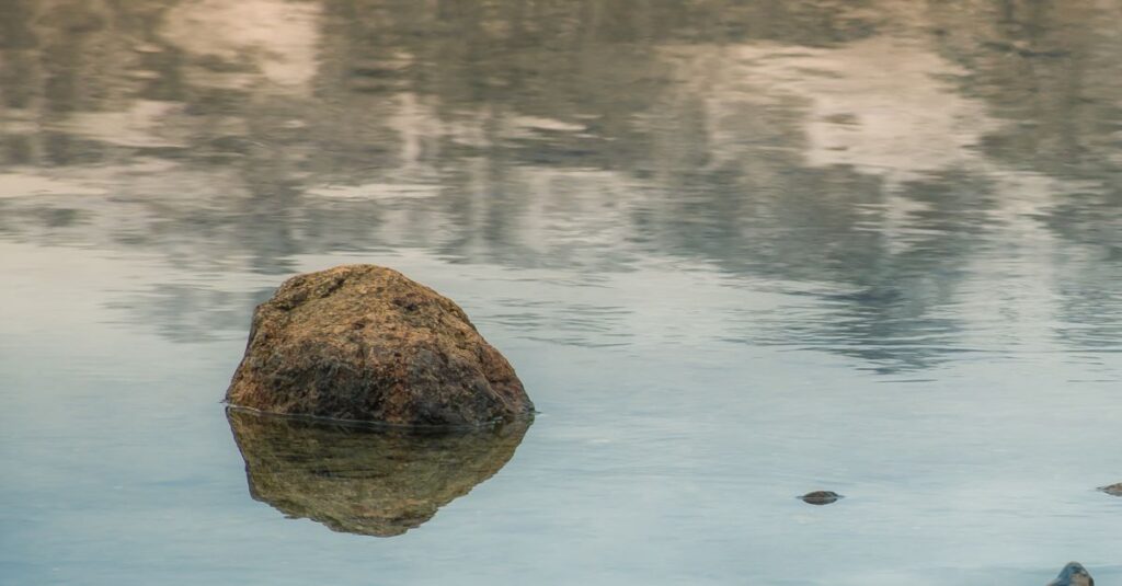 やわらかな光の中で自分を映す鏡。表面の下に隠れている本当の気持ちを象徴する静かな風景。