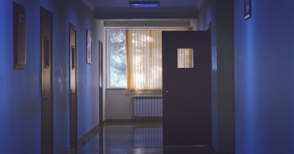 やわらかな光の中に静かに開かれた扉。本当の愛が、相手の自由を奪わないことを象徴する風景。