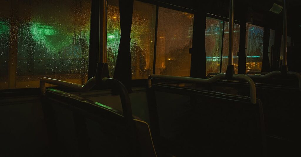 やわらかな光の中で静かに自分の中身と向き合う瞬間。若さが剥がれた後に何が残るかを象徴する風景。
