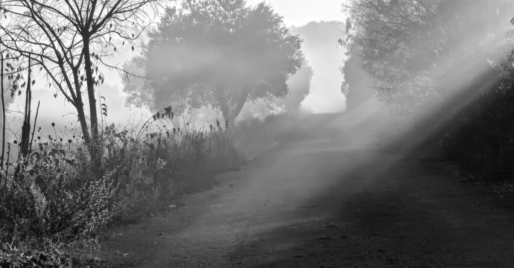 soft light open path quiet wonder gentle acceptance question living calm atmosphere