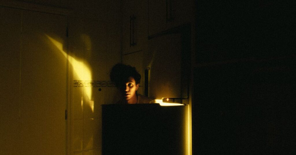 やわらかな光の中で静かに閉じられた扉。決断できなかった瞬間と、後から気づく本音を象徴する風景。