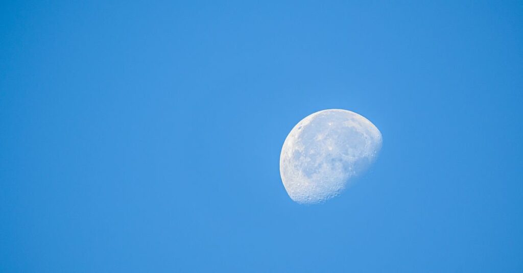 やわらかな光の中で高く放たれる矢。射手座の月が正気を保たせてきた力を象徴する風景。