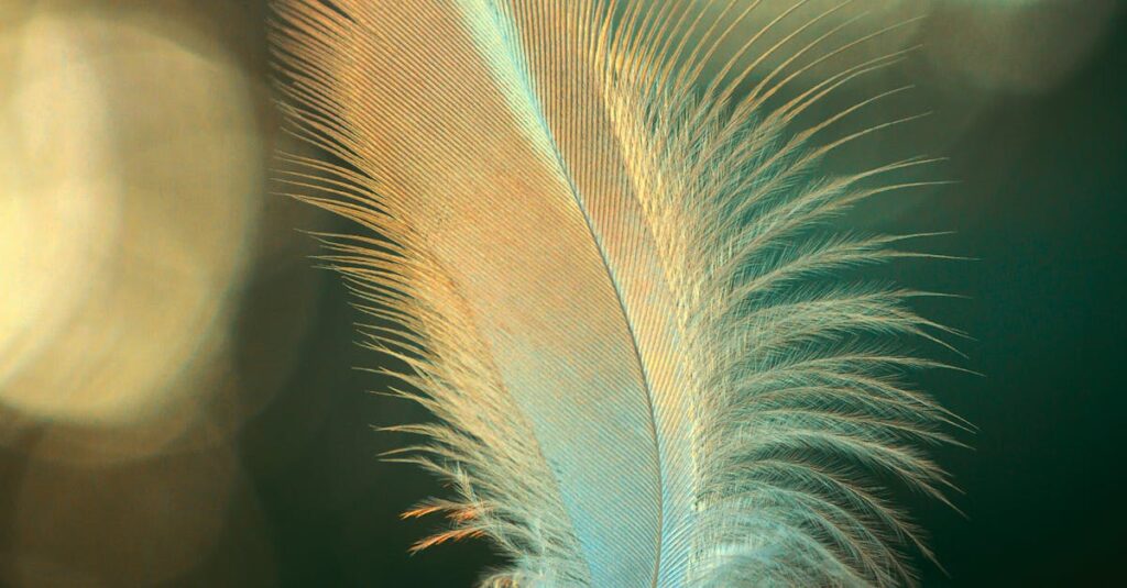 quiet night soft light single question floating gentle wonder calm atmosphere
