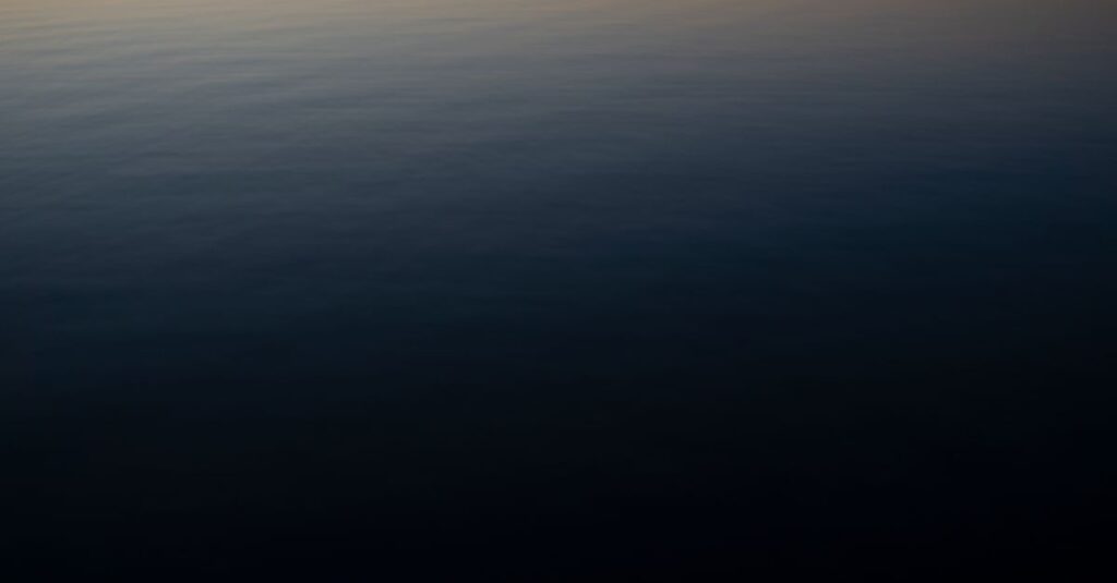 やわらかな光の中に広がる大きな海。本当の器の大きさとは何かを象徴する風景。
