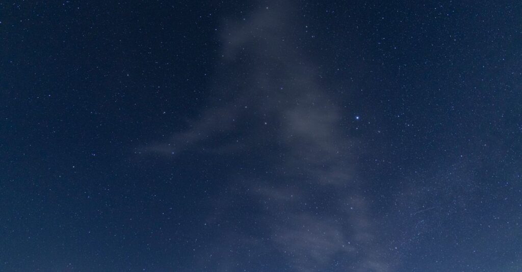 やわらかな光の中で静かに言葉が生まれる瞬間。星問という名前の誕生を象徴する風景。