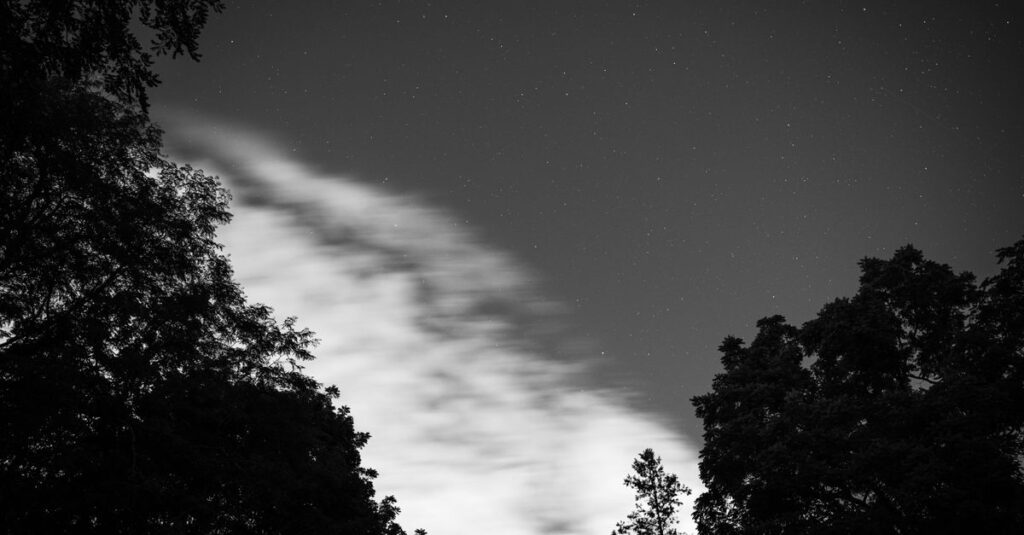 やわらかな星空の下で静かに決意する瞬間。星問師として生きると決めた夜を象徴する風景。