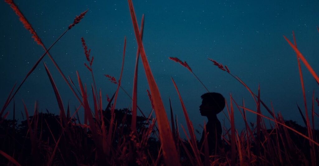 やわらかな星空の下で静かに問いを置く瞬間。星問という名前の意味を象徴する風景。