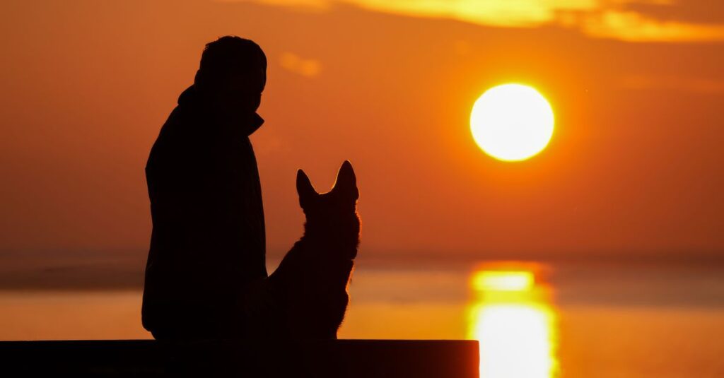 やわらかな光の中で静かに自分と向き合う瞬間。最大の親友は自分だったという気づきを象徴する風景。
