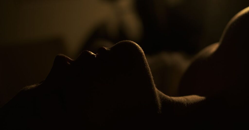 やわらかな光と影の中に現れる二つの顔。リリスが持つ抑圧と解放の二面性を象徴する風景。