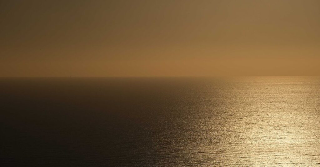 やわらかな光の中に広がる大きな海。本当の器の大きさとは何かを象徴する風景。