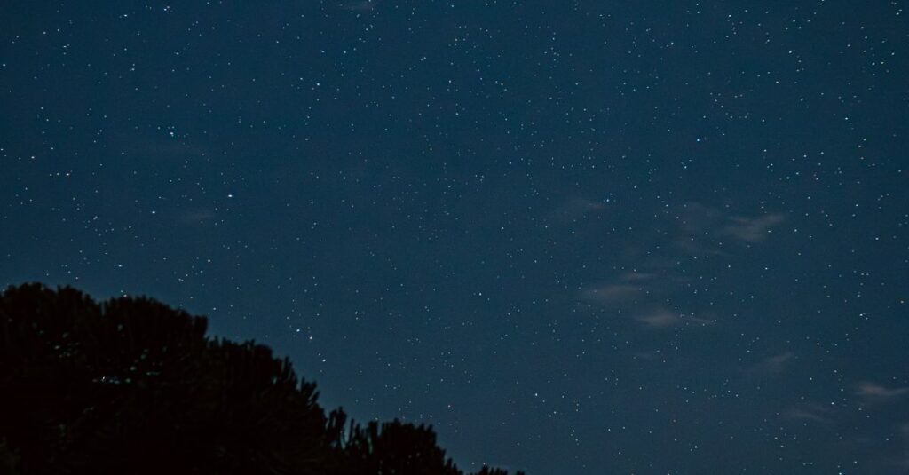 やわらかな光の中でサビアンシンボルが示す宇宙への報告書の意味。矛盾の正体を象徴する風景。