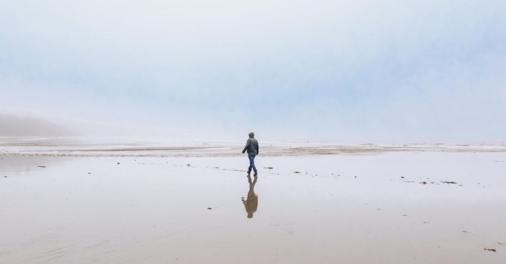 やわらかな光の中で静かに気づきが訪れる瞬間。慣れ親しんだ場所を離れる準備を象徴する風景。