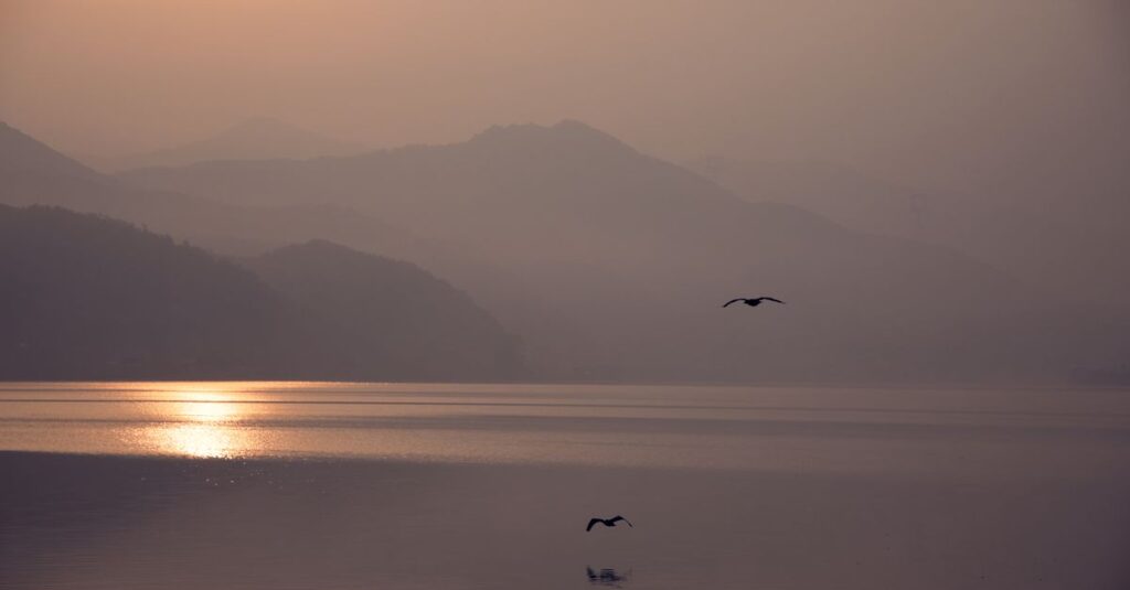 やわらかな光の中で静かに朝を迎える風景。答えを探さなくなった今を象徴する風景。