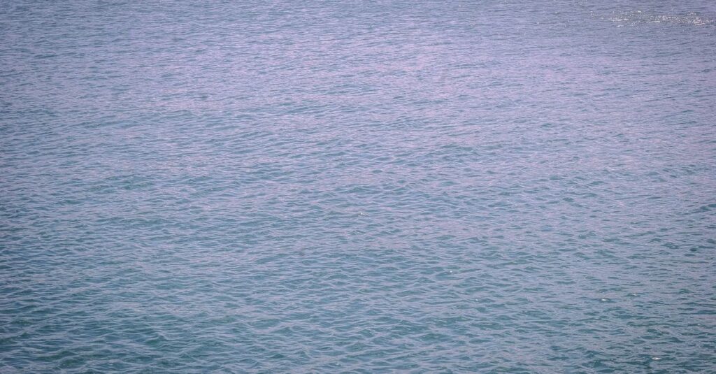 やわらかな光の中で静かに広がっていく波紋。魚座の問いが際限なく広がる様子を象徴する風景。